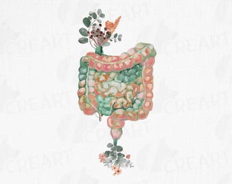 Floral Intestine Art: Watercolor Eucalyptus Anatomy Art, Gastroenterologist Gift (Digital Files)