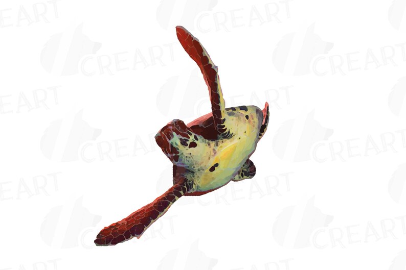 May include: A watercolor painting of a sea turtle swimming upside down. The turtle has a green and yellow shell with red and brown markings. The turtle is swimming with its flippers outstretched.