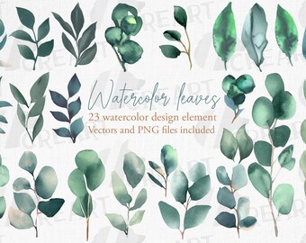 Watercolor Eucalyptus Clipart: Green Leaf Wedding Design Elements (PNG, SVG, EPS)