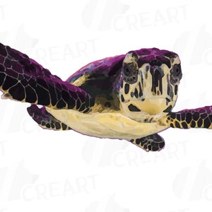 May include: A purple and black sea turtle with a yellow underbelly swims with its head raised, looking directly at the viewer.