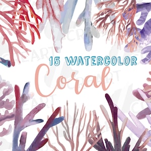 Watercolor blush Coral Reef clip art pack. coastal decoration, sea life clip art, Coral baby shower, Coral wedding decor png, vectors