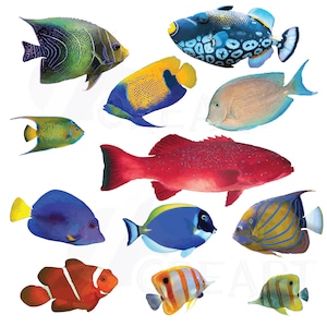 Aquarell tropische Fische Clip Art. Tropische Meerestiere zur Dekoration. Wunderschöne Deko fürs Badezimmer zum selbst ausdrucken. Riff-Fisch Clipart.