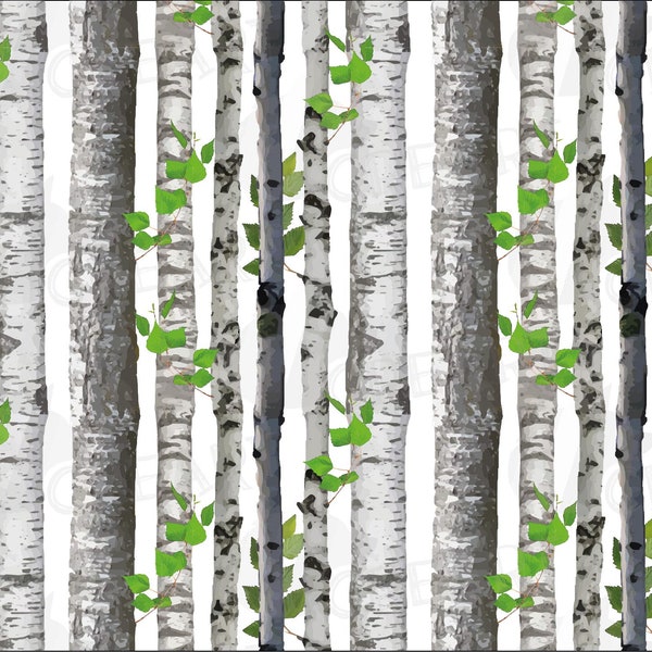 Birch Bark Sheets - Etsy