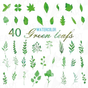 Groene bladeren en takken aquarel clip art pack, handgeschilderde bladeren collectie. PNG-, jpg-, svg-, vectorillustrator- en corel-bestanden inbegrepen
