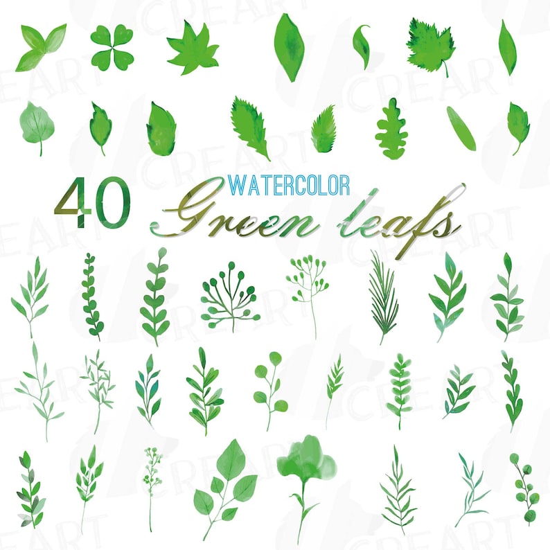 Download Png Svg Vector Illustrator Corel Files Included Green Leaves And Branches Watercolor Clip Art Pack Jpg Hand Painted Leafs Collection Clip Art Art Collectibles Colonialgolfhart Com