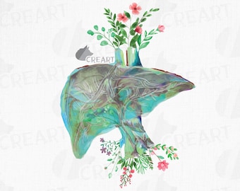 Design floral para decoração anatômica do fígado. Arte floral para presente com fígado humano. Imagem PNG para presente de hepatologista. Gráfico médico para impressão com anatomia para decoração de parede.