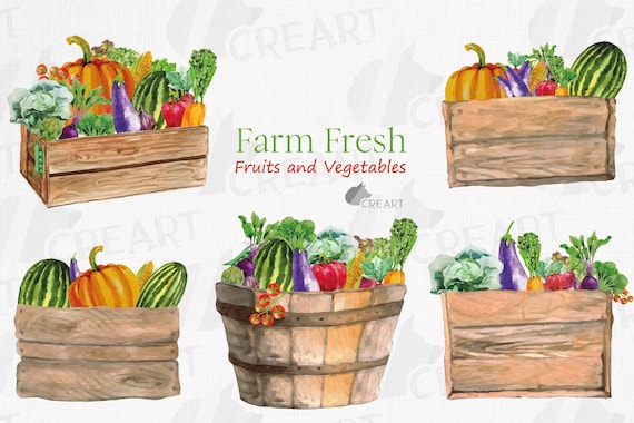 Watercolor Farm Fresh Vegetable Clip Art: Harvest Food Decor (PNG, JPG, SVG)