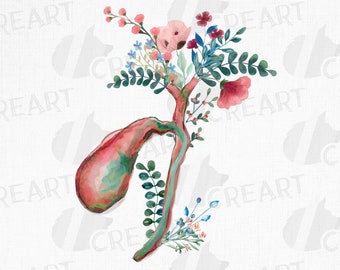 花柄の解剖学的胆嚢装飾デザイン。花柄のヒト胆嚢ギフトアート。肝臓専門医への医療ギフトPNG。医療用印刷可能な解剖学壁装飾