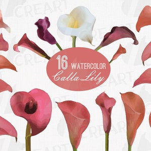 Calla Lily Clipart: Pink & Purple Watercolor Flowers (Digital Download)