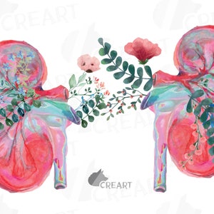 Floral anatomical kidneys decor design. Floral human kidney clip art. Urologist med gift. Medical printable anatomy wall decor graphic.