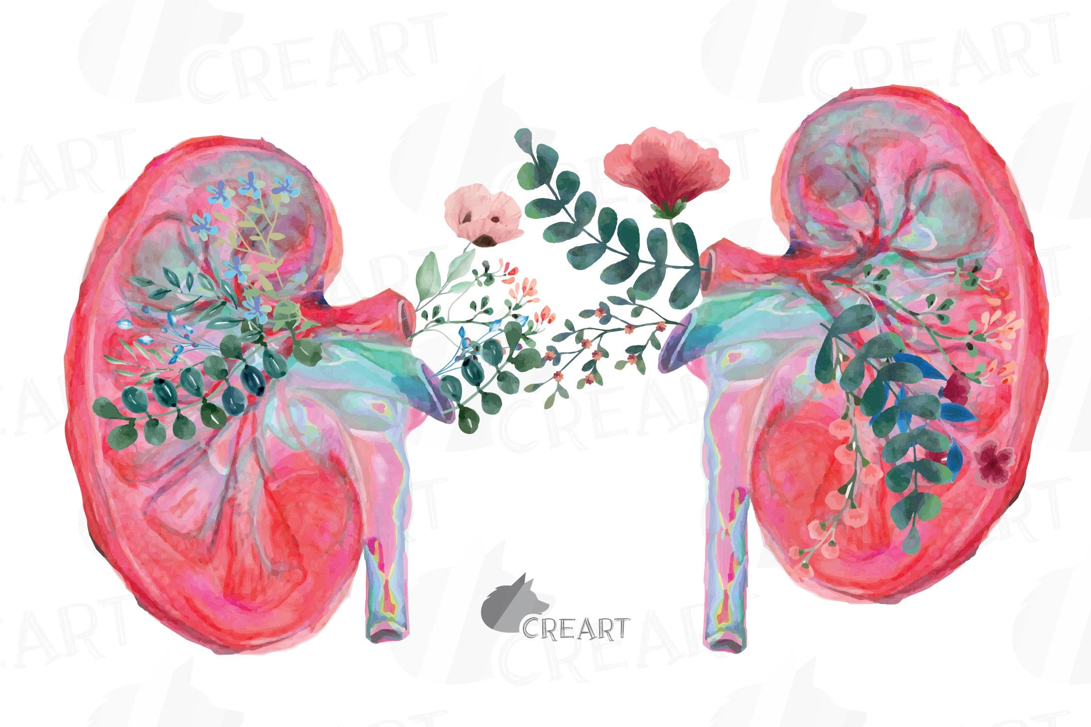Floral Anatomical Kidneys Decor Design. Floral Human Kidney Etsy