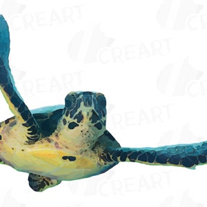 May include: A watercolor painting of a sea turtle swimming in the ocean. The turtle is green, blue, and yellow with a black shell. The turtle is swimming with its head up and its flippers outstretched.