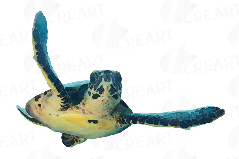 May include: A watercolor painting of a sea turtle swimming in the ocean. The turtle is green, blue, and yellow with a black shell. The turtle is swimming with its head up and its flippers outstretched.