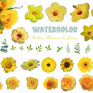 Może przedstawiać: Aquarelowe ilustracje żółtych kwiatów i liści. Zestaw zawiera róże, hibiskusy, słoneczniki, narcyzy i tulipany. Tekst "WATERCOLOR Yellow Flowers & Leaves" znajduje się w górnej części obrazu.