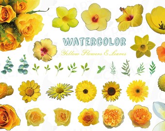 Watercolor Yellow Flowers Clip Art: Floral Vector Elements (PNG, SVG, EPS)