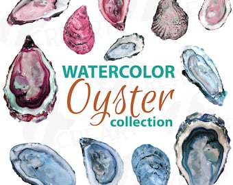 Oyster Watercolor Clipart: Tropical Collection (PNG, SVG, EPS)