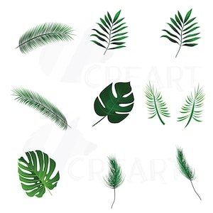 Summer leaf clip art pack, palm leaf collection. Eps, png, jpg, pdf, vector illustrator & corel files included, instant download image 2