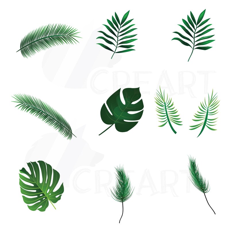 Summer leaf clip art pack, palm leaf collection. Eps, png, jpg, pdf, vector illustrator & corel files included, instant download image 2