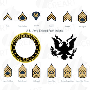 US Army enlisted rank insignia collection. Military frame clip art pack. United States Armed Forces clip art, vector, PNG, svg, eps files.