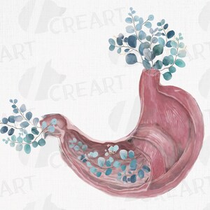Stomaco anatomico rosa con eucalipto. Design di arredamento per la casa con anatomia umana floreale stampabile. Idee regalo per studenti di medicina gastroenterologi.
