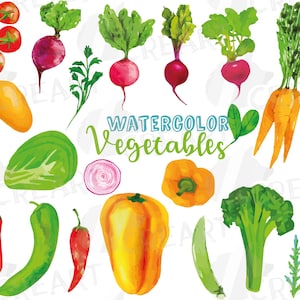 Watercolor vegetables clip art pack, green and colorful vegetables, roots, veggies. Healthy Food, eps png, jpg, svg, vector files included