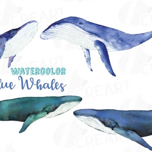 Watercolor blue whale clip art pack, blue whales decoration. Printable Png, jpg, svg, pdf, vector illustrator, eps & corel files included