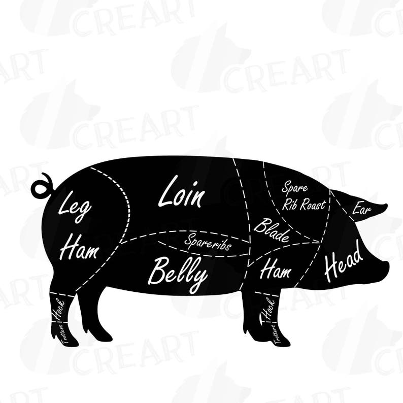 Cuts of pork chart pdf - hormission