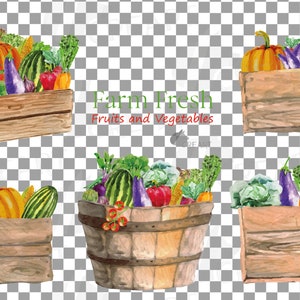 May include: A watercolor illustration of farm fresh fruits and vegetables in wooden crates and a barrel. The illustration features pumpkins, watermelons, eggplants, bell peppers, corn, and leafy greens. The text "Farm Fresh Fruits and Vegetables" is written in a decorative font.