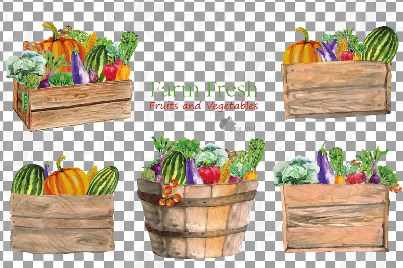 May include: A watercolor illustration of farm fresh fruits and vegetables in wooden crates and a barrel. The illustration features pumpkins, watermelons, eggplants, bell peppers, corn, and leafy greens. The text "Farm Fresh Fruits and Vegetables" is written in a decorative font.