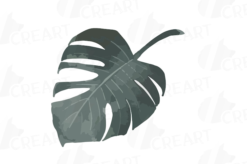 Download Clip Art Jpg Gray Tropical Leafs Collection Grey Palm Leaves Watercolor Clip Art Pack Printable Png Svg Vector Ai Corel Files Included Art Collectibles