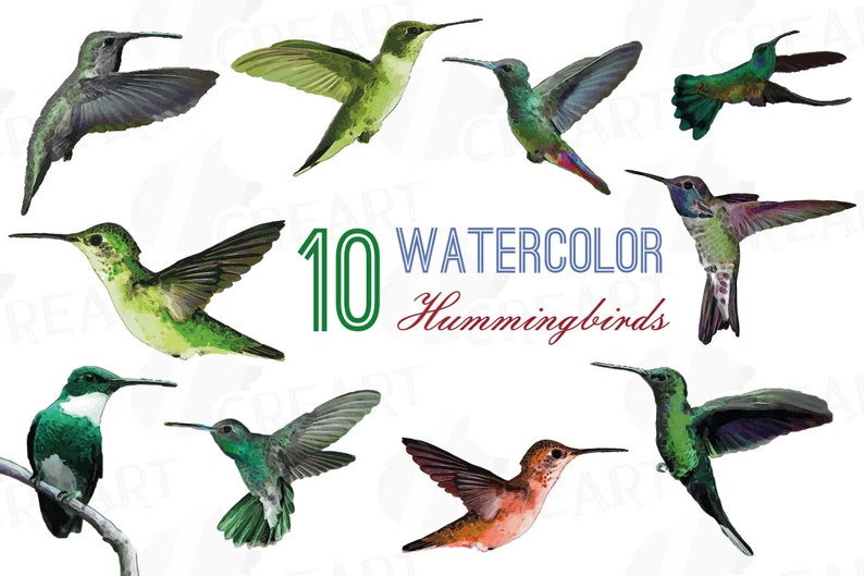 Puede incluir: Diez ilustraciones de colibr&iacute;es en acuarela en varios colores y poses. El texto "10 Watercolor Hummingbirds" se muestra en el centro de la imagen.