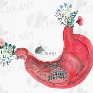 Design decorativo anatomico floreale dello stomaco. Arte regalo med gastroenterologo. Clip art decorativa da parete anatomica stampabile medica dell'apparato digerente.