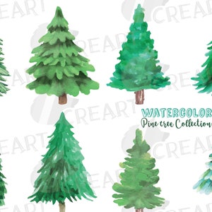 Clipart aquarelle d'arbres de Noël. Décoration d'intérieur de pins à feuilles persistantes. Invitation de vacances imprimable png. Art mural de ferme de sapin de Noël.