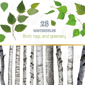 Watercolor Birch Tree Clipart: Woodland Wedding Graphics (Digital Download)