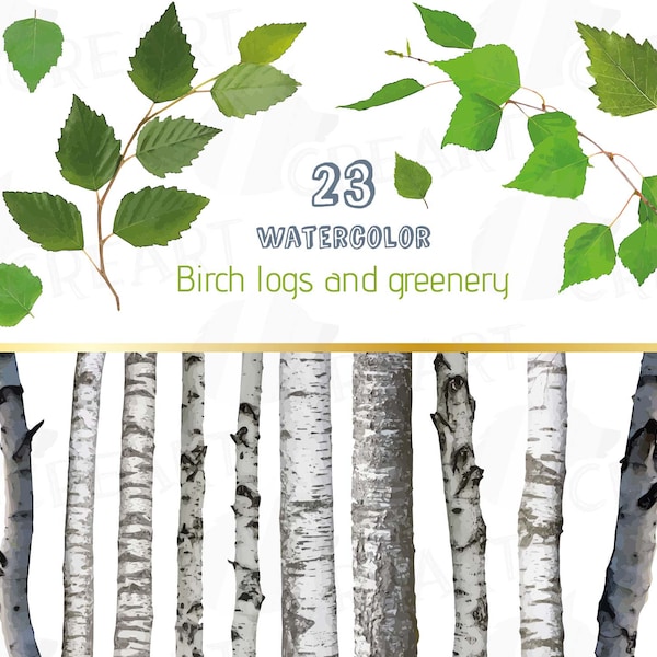 Watercolor birch tree clip art, greenery, trunk, leaves decoration, tree logs design elements, Wedding Invitation graphics, Woodland png