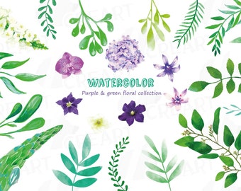 Flowers and Leaves