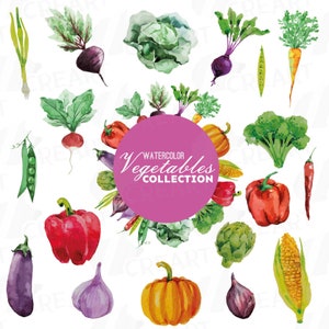 Pack clip art aquarelle légumes, légumes verts et colorés. Alimentation saine, eps png, jpg, svg, fichiers vectoriels inclus, téléchargement immédiat