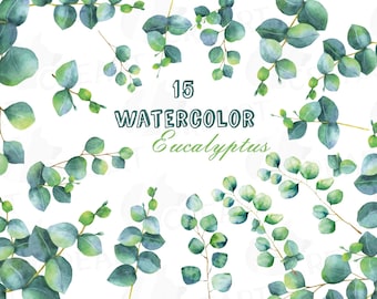 Eucalyptus leaves and branches watercolor wedding clip art. Eucalyptus bridal shower design elements. PNG, jpg, svg, vector files included