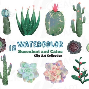 Watercolor Cactus Clipart: Succulent PNG & Vector Pack