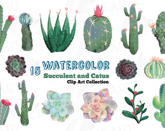 Watercolor cactus and watercolor succulent Clipart pack, Green cactus, printable cactus wall art, cacti succulents transparent png & vectors