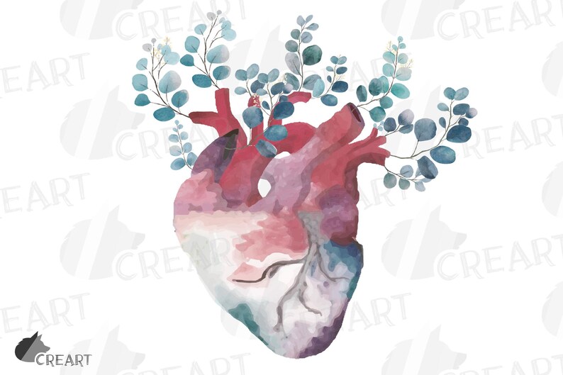 pink blush anatomical heart with eucalyptus floral human etsy ireland