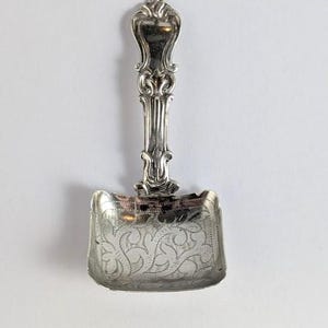 May include: A silver-colored, ornate sugar sifter with a rectangular bowl and a decorative handle. The bowl features an etched floral design. The handle has an intricate, detailed pattern.