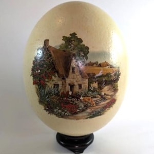 Ostrich Egg