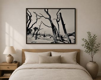 Guardians, Driftwood Beach, Fine Art Photo Print