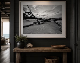 Driftwood Creature, Fine Art Photo Print