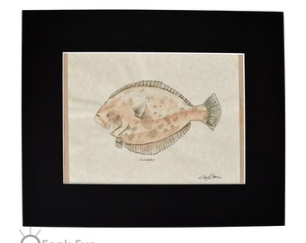 Flounder, Original Hand Drawn Illustration