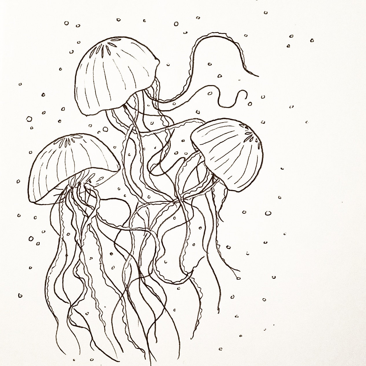 25 Awesome Jellyfish Tattoo Ideas for Men  Women in 2023