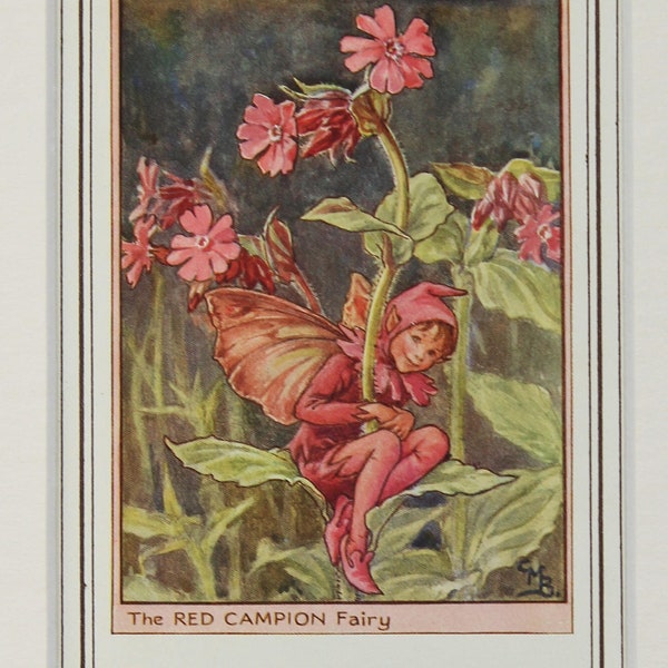 Red Campion Flower Fairy - Original 1930s Vintage Flower Fairy Print by Cicely Mary Barker, Mounted/ Matted Reading for Framing