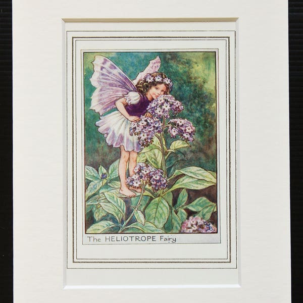 Heliotrope Fairy - Original 1930s Vintage Flower Fairy Print by Cicely Mary Barker, Mounted/ Matted Reading for Framing