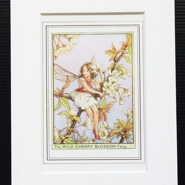 Wild Cherry Blossom Fairy - Original 1930s Vintage Flower Fairy Print by Cicely Mary Barker, Mounted/ Matted Reading for Framing